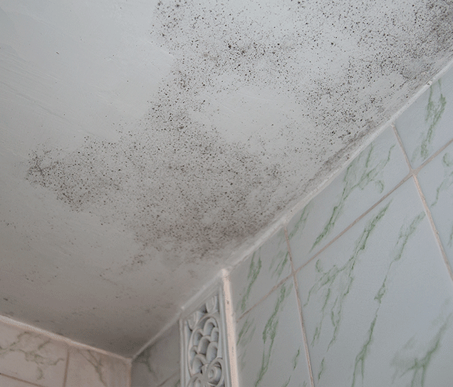 evdeolsuveolmasındediklerimiz